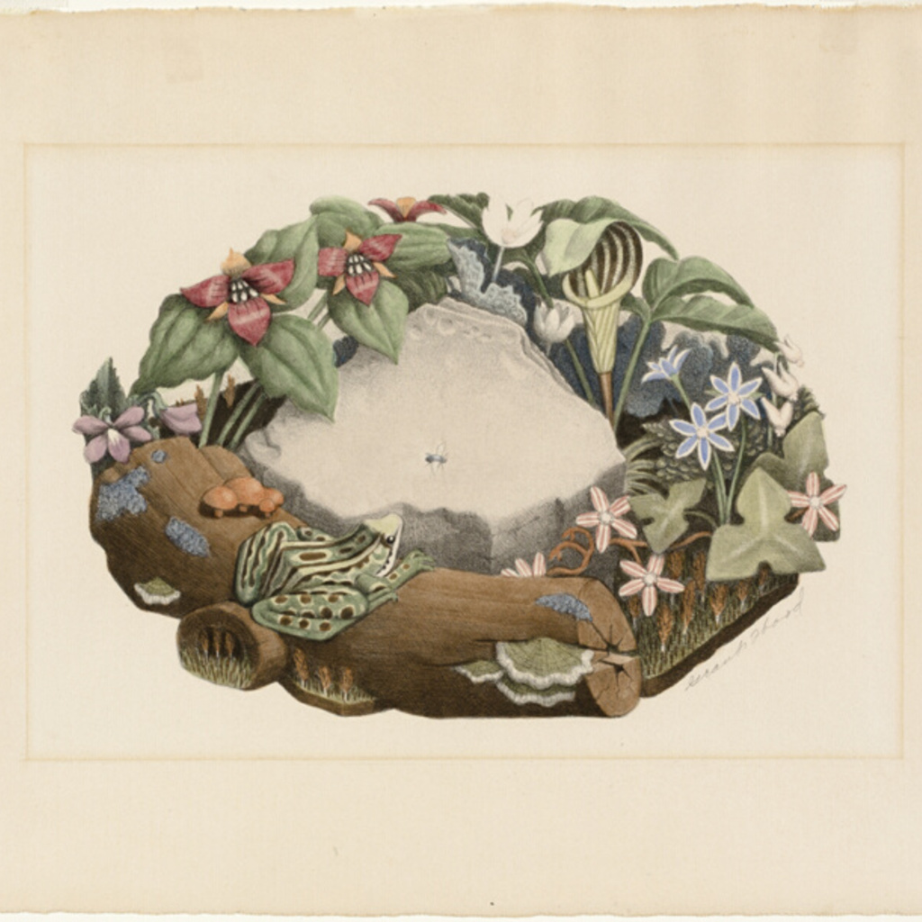Grant Wood Country Forum: "'Wild and Tame Flowers': Context, Symbolism and Musings on Possible Meanings in Grant Wood’s Flower Lithographs" promotional image